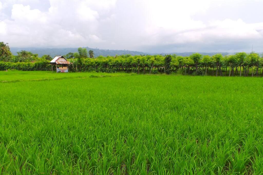 Villa Triyuna, Our Little Paradise Banjar  المظهر الخارجي الصورة